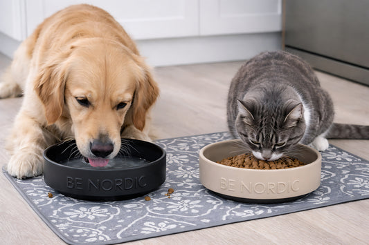 Gamelle 0.5 litres et 1.2 litres