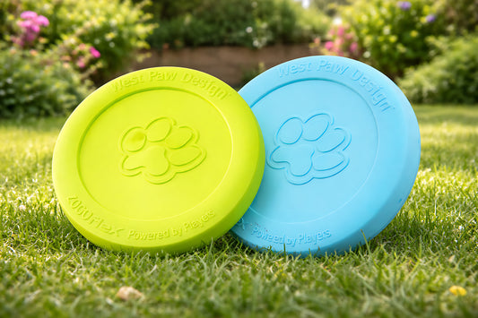 Jouet à mâcher pour chien