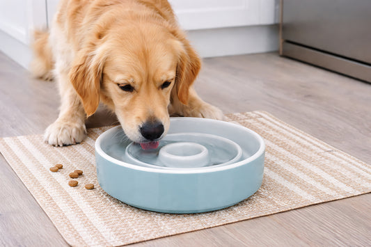 Gamelle alimentation lente 0.45 litres et 0.9 litres