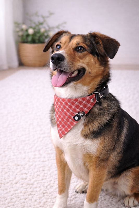 Collier foulard en cuir