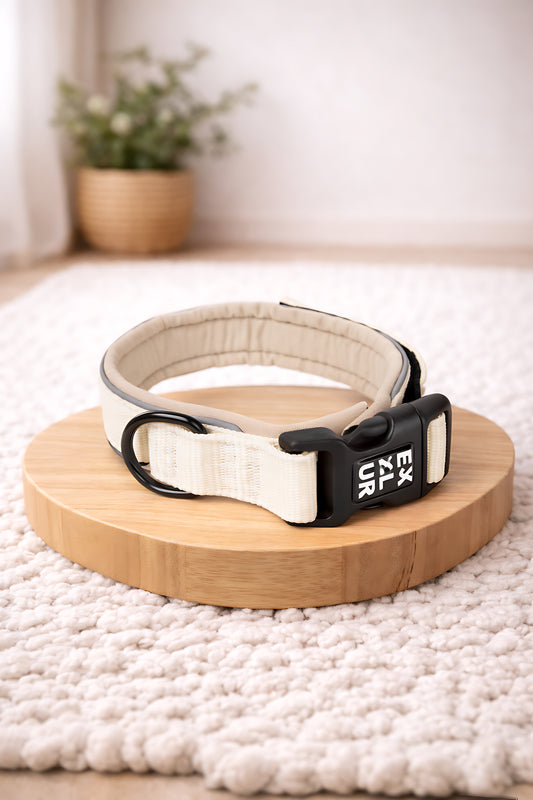 Collier large avec passepoil réfléchissant